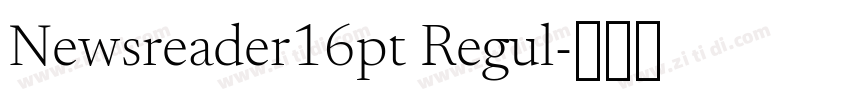 Newsreader16pt Regul字体转换 Newsreader16pt Regul字体转换